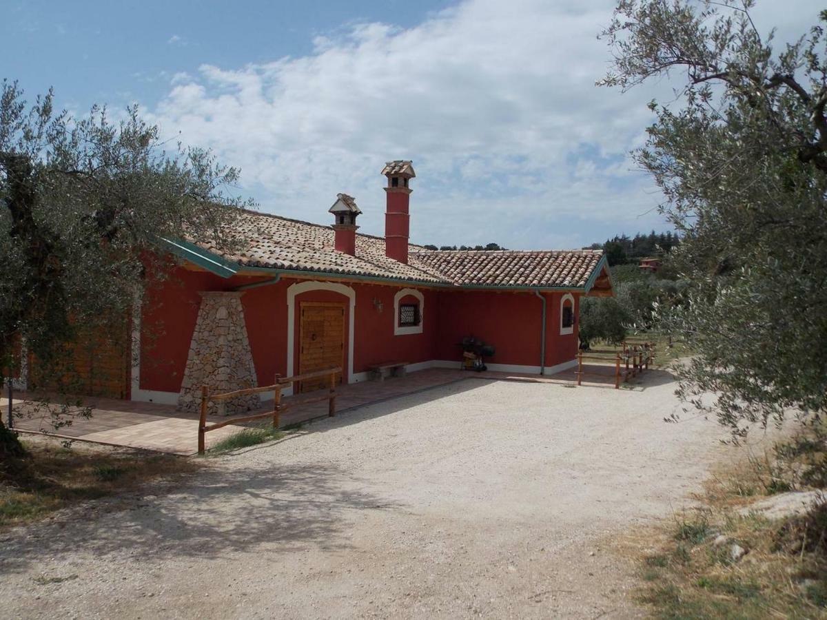 Agriturismo Cento Ducati Palombara Sabina Zewnętrze zdjęcie